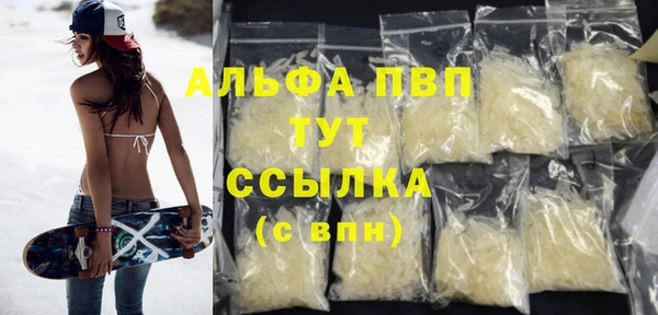 ПСИЛОЦИБИНОВЫЕ ГРИБЫ Белоозёрский
