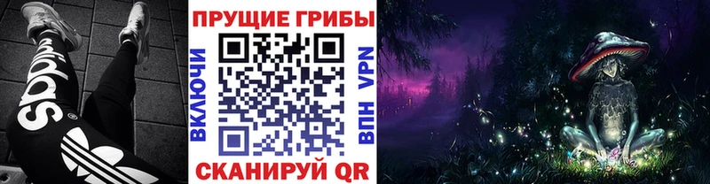 Псилоцибиновые грибы Psilocybine cubensis  Шелехов 